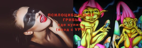 дмт Козловка