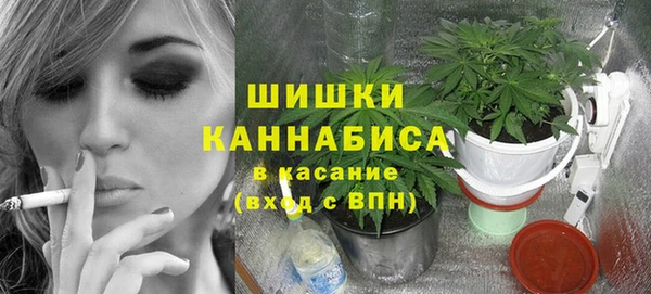 spice Кодинск