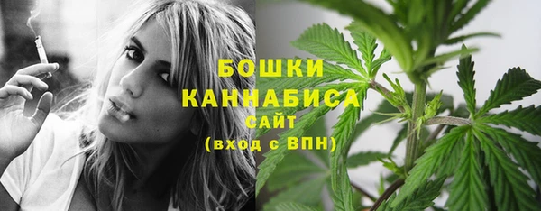 spice Кодинск