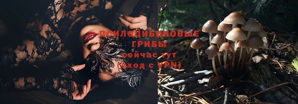 каннабис Алексин