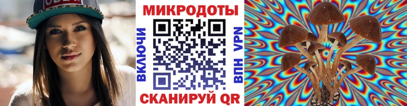 Псилоцибиновые грибы Cubensis  OMG маркетплейс  Александровск-Сахалинский 